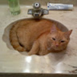 Meet your Posher, Leighanne